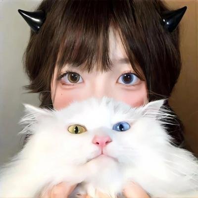 报告典狱长